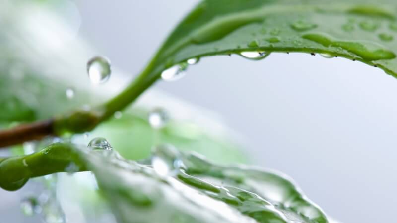 環境への取り組み